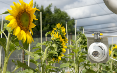 Tribune : Les Nouvelles Technologies Génomiques, des outils utiles pour l’agriculture et la souveraineté alimentaire, l’environnement et le climatTribune